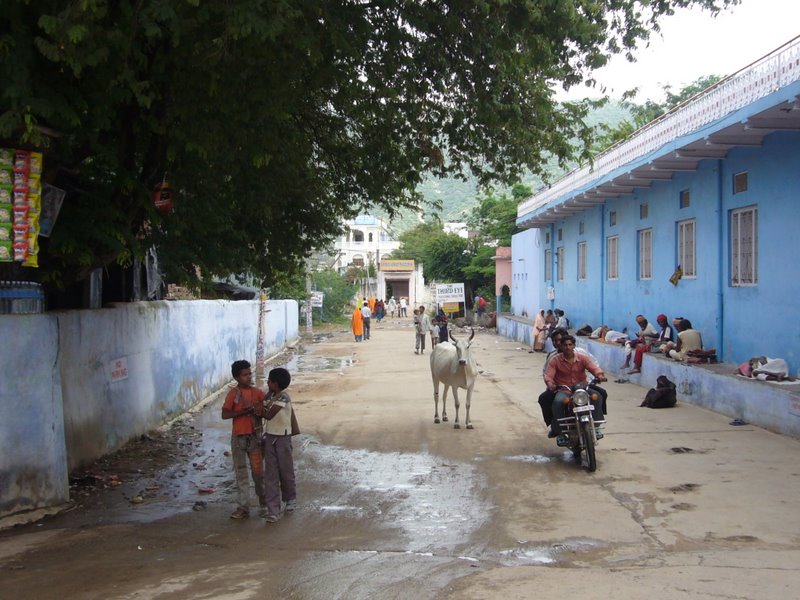 Travel - India - Rajasthan - Pushkar - Streets and People